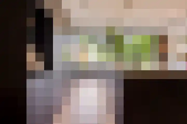 Pasteurlaan 116 Eindhoven thumbnail 20