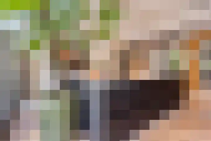 Pasteurlaan 116 Eindhoven thumbnail 23