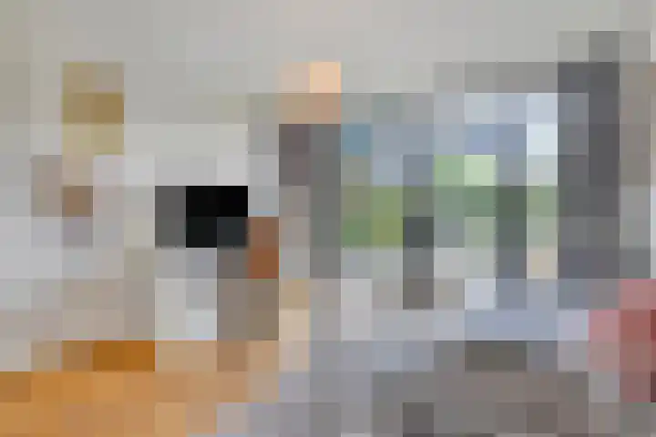 Pasteurlaan 116 Eindhoven thumbnail 29
