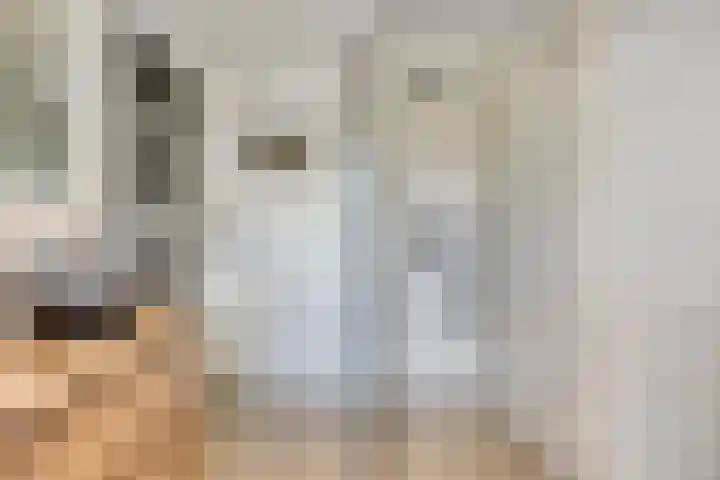 Pasteurlaan 116 Eindhoven thumbnail 33