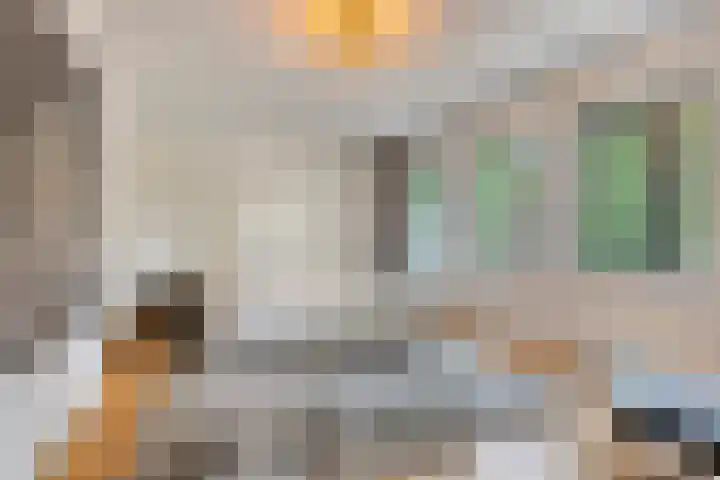 Pasteurlaan 116 Eindhoven thumbnail 4