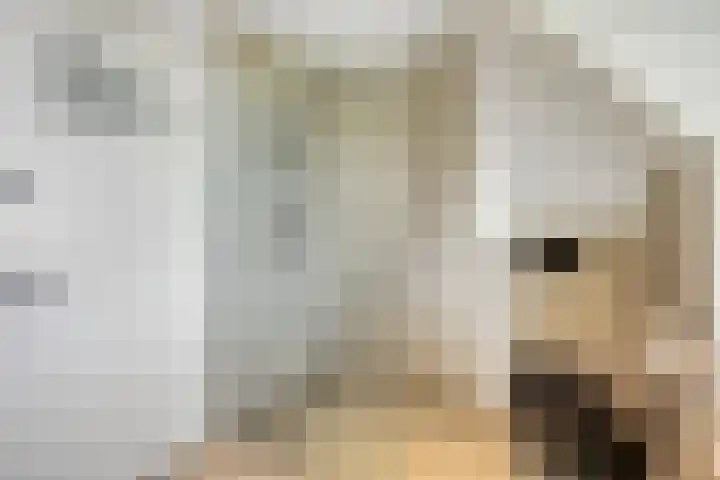 Pasteurlaan 116 Eindhoven thumbnail 40
