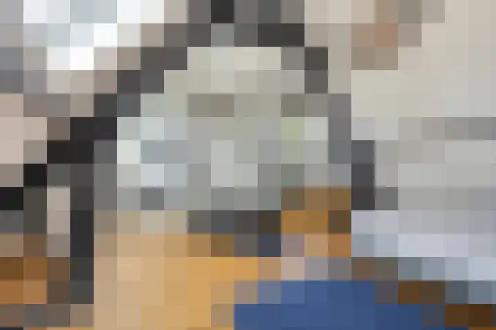 Pasteurlaan 116 Eindhoven thumbnail 42