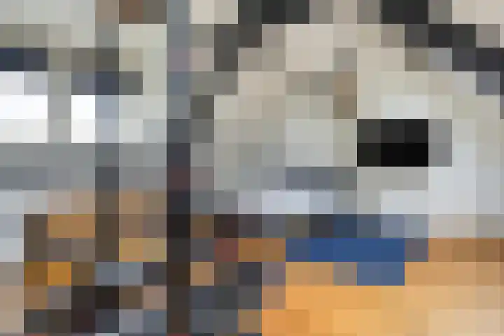 Pasteurlaan 116 Eindhoven thumbnail 43