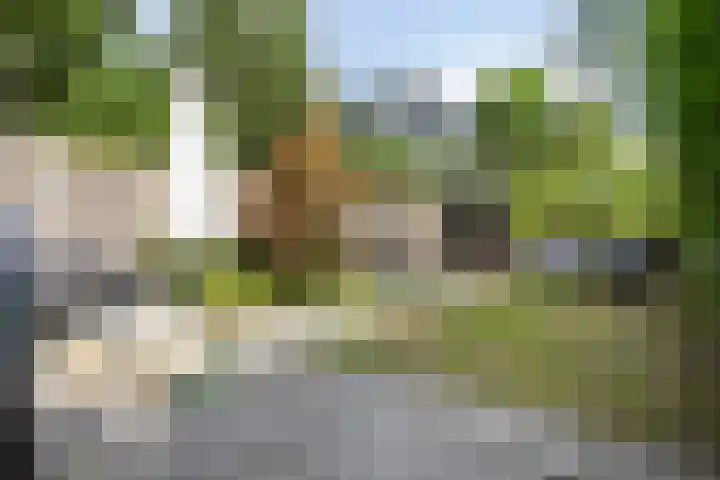 Pasteurlaan 116 Eindhoven thumbnail 44