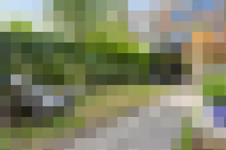 Pasteurlaan 116 Eindhoven thumbnail 47