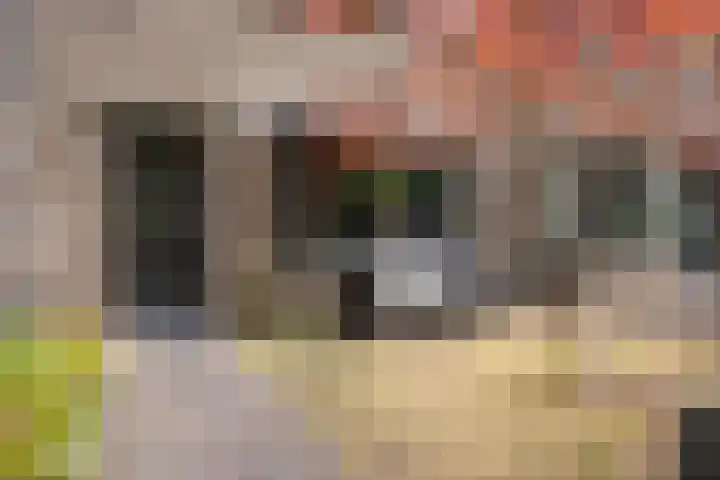 Pasteurlaan 116 Eindhoven thumbnail 8