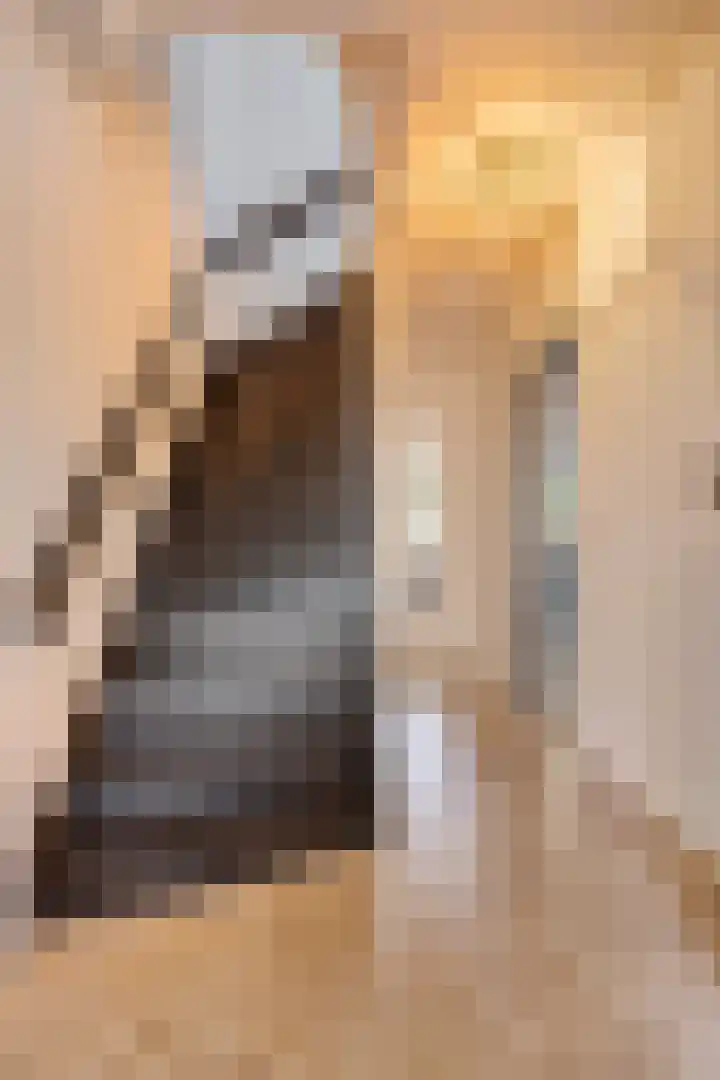Pasteurlaan 116 Eindhoven thumbnail 9