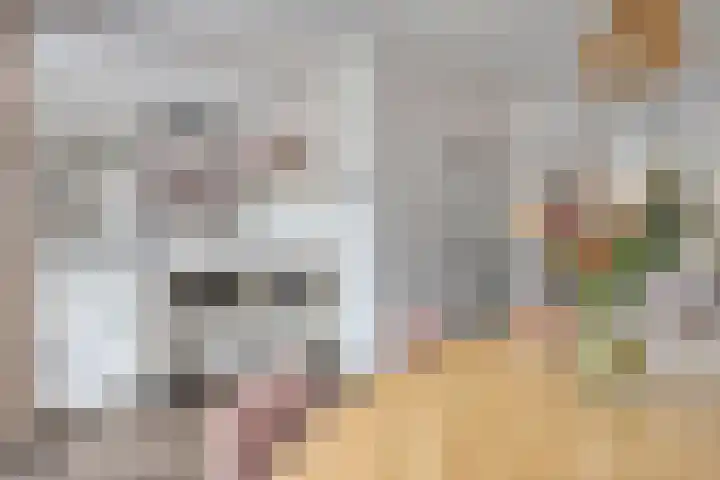 Pasteurlaan 20 Eindhoven thumbnail 15