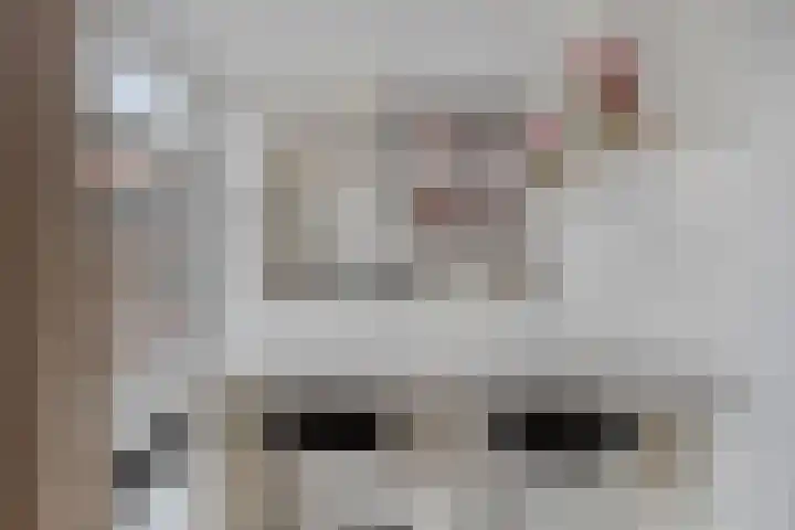 Pasteurlaan 20 Eindhoven thumbnail 16
