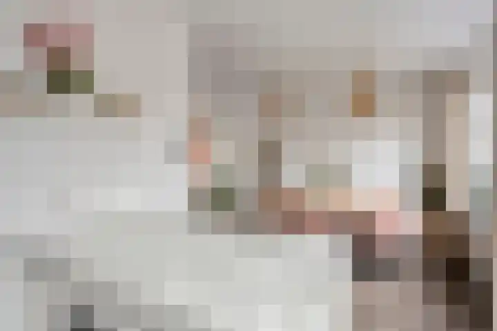 Pasteurlaan 20 Eindhoven thumbnail 18