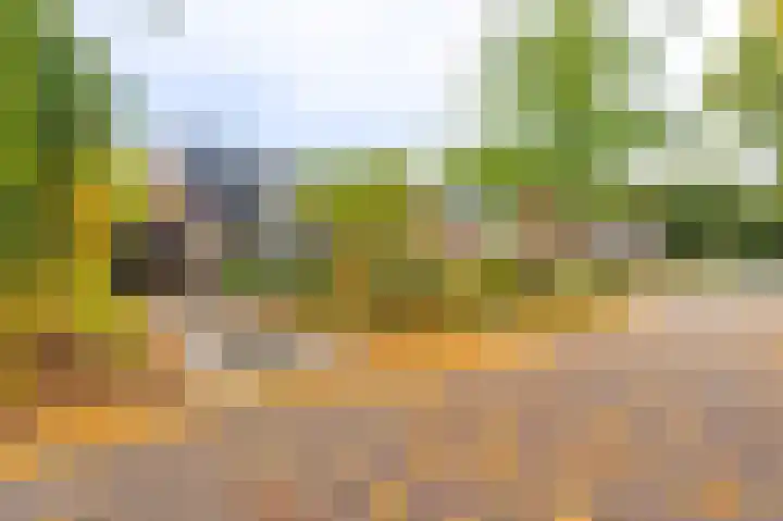 Pasteurlaan 20 Eindhoven thumbnail 19