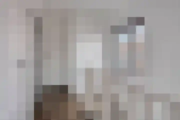 Pasteurlaan 20 Eindhoven thumbnail 19