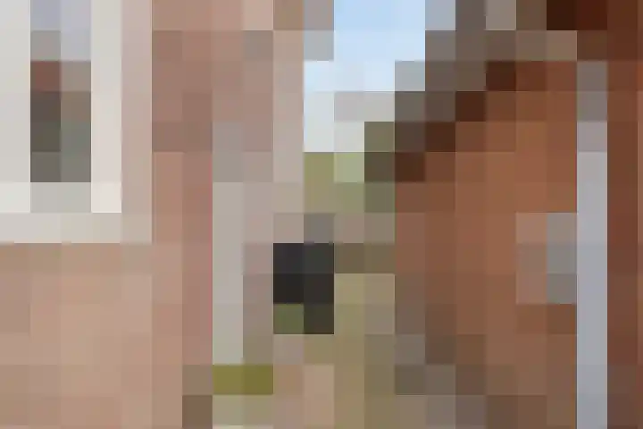 Pasteurlaan 20 Eindhoven foto 2