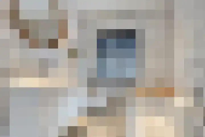 Pasteurlaan 20 Eindhoven thumbnail 23