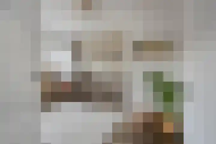 Pasteurlaan 20 Eindhoven thumbnail 25