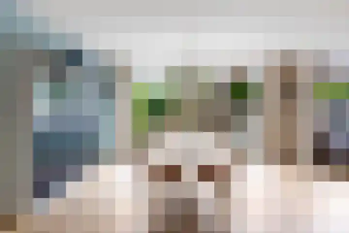 Pasteurlaan 20 Eindhoven thumbnail 27