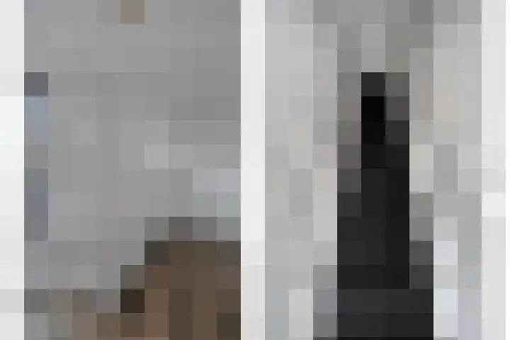 Pasteurlaan 20 Eindhoven thumbnail 27