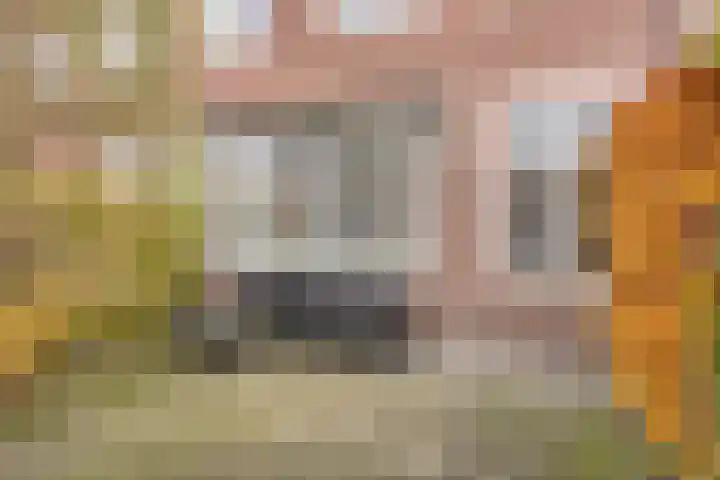 Pasteurlaan 20 Eindhoven thumbnail 31