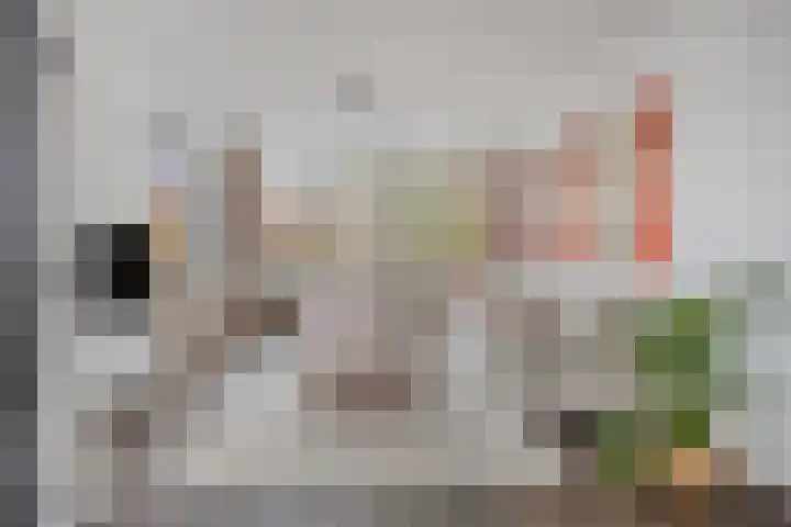 Pasteurlaan 20 Eindhoven thumbnail 7