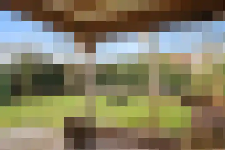 Pasteurlaan 3 Bennekom thumbnail 26