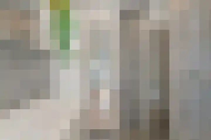 Pasteurlaan 8 Pijnacker thumbnail 19