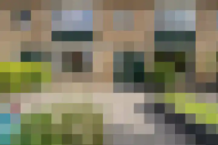 Pasteurlaan 8 Pijnacker foto 2