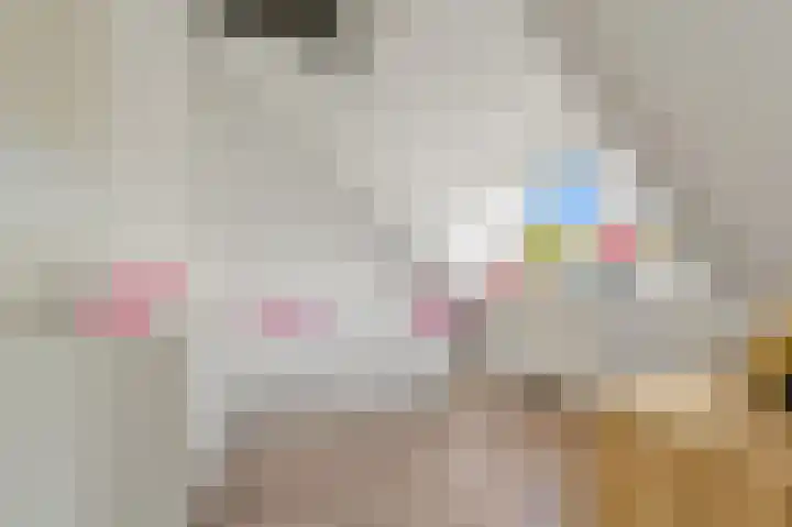 Pasteurlaan 8 Pijnacker thumbnail 30