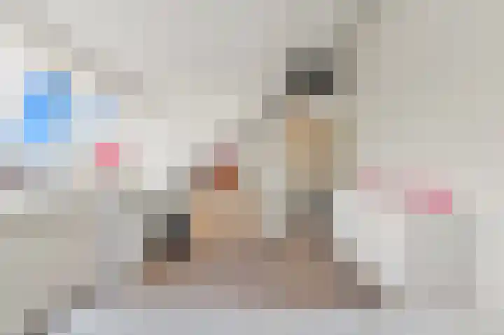 Pasteurlaan 8 Pijnacker thumbnail 31