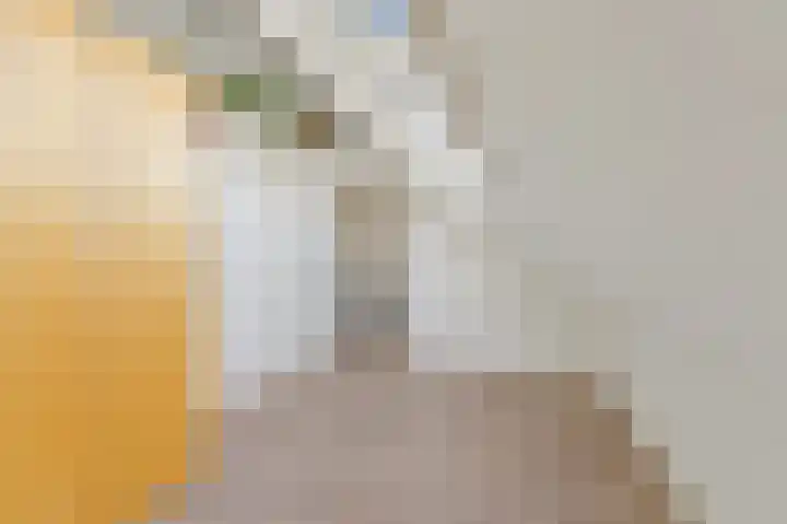 Pasteurlaan 8 Pijnacker thumbnail 33