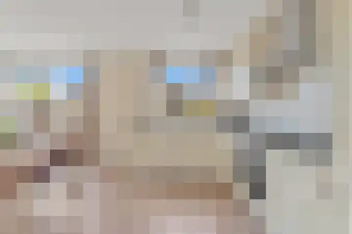 Pasteurlaan 8 Pijnacker thumbnail 8