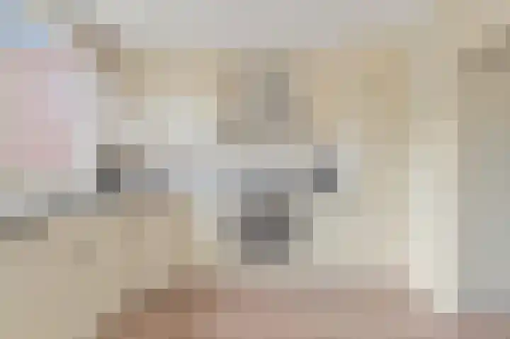 Pasteurlaan 8 Pijnacker thumbnail 9