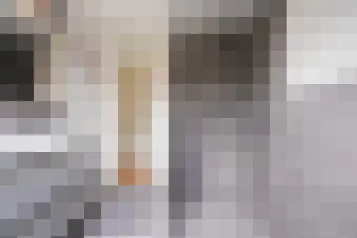 Pasteurstraat 1 Tilburg thumbnail 31