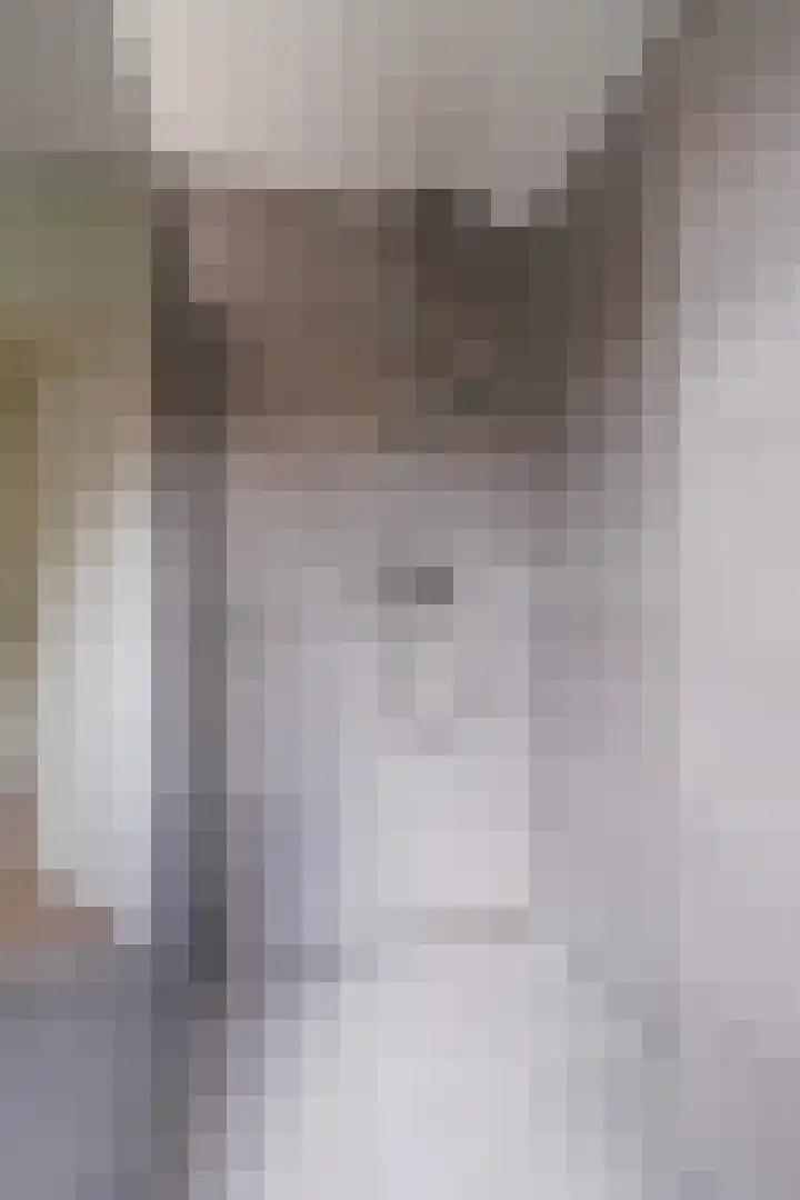 Pasteurstraat 1 Tilburg thumbnail 32