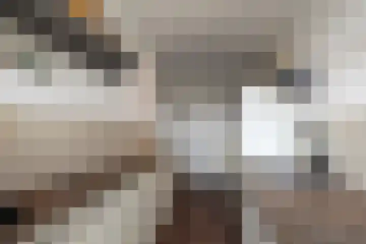 Pasteurstraat 13 Den Helder thumbnail 12