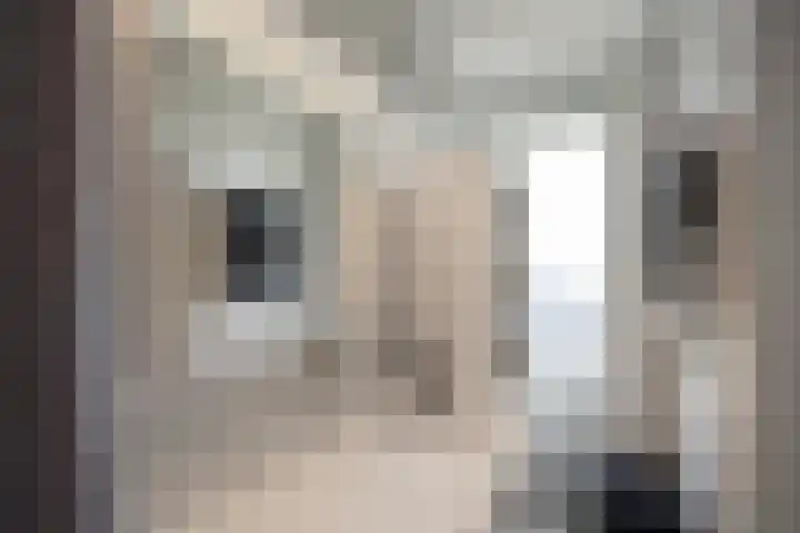 Pasteurstraat 13 Den Helder thumbnail 13