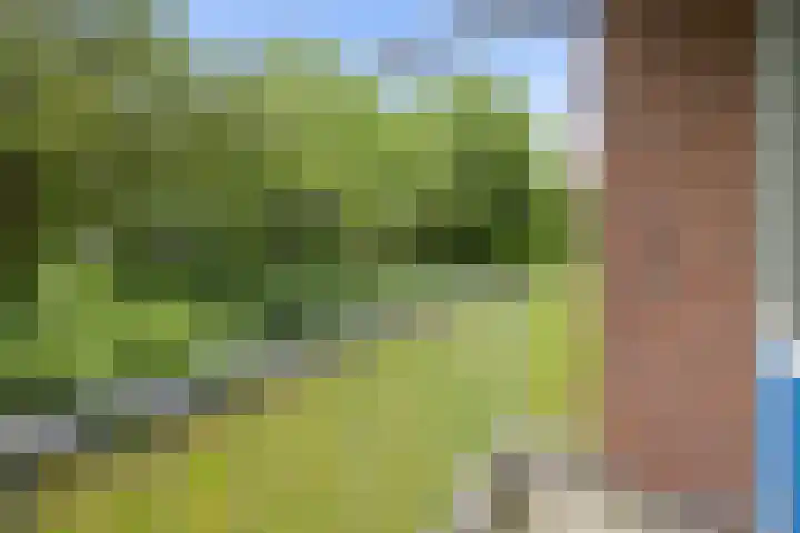 Pasteurstraat 17 Den Helder thumbnail 13
