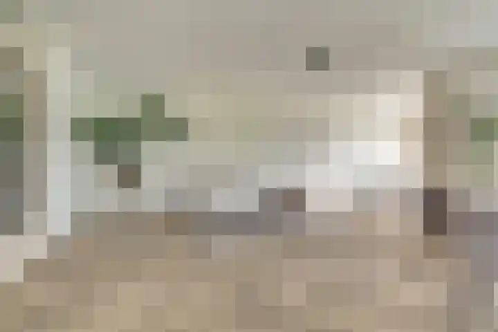 Pasteurstraat 31 Dieren thumbnail 10
