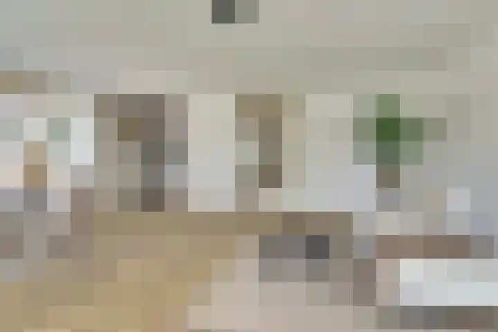 Pasteurstraat 31 Dieren thumbnail 12
