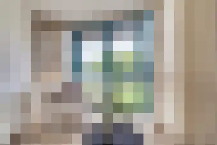 Pasteurstraat 31 Dieren thumbnail 13