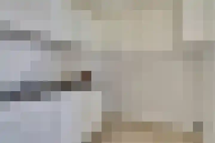 Pasteurstraat 31 Dieren thumbnail 16