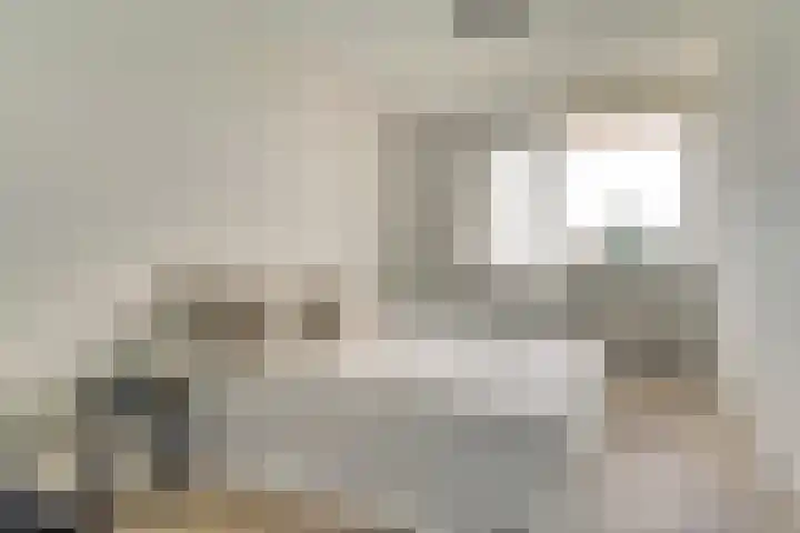 Pasteurstraat 31 Dieren thumbnail 18
