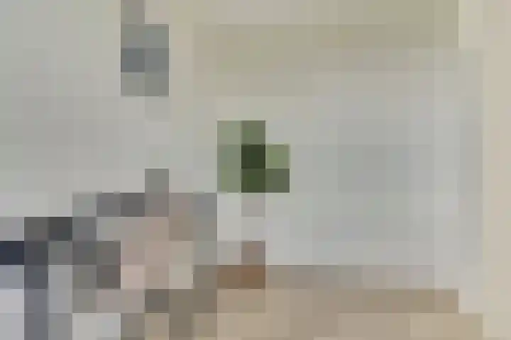 Pasteurstraat 31 Dieren thumbnail 20