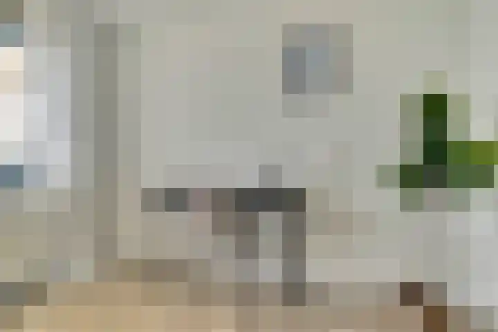 Pasteurstraat 31 Dieren thumbnail 21