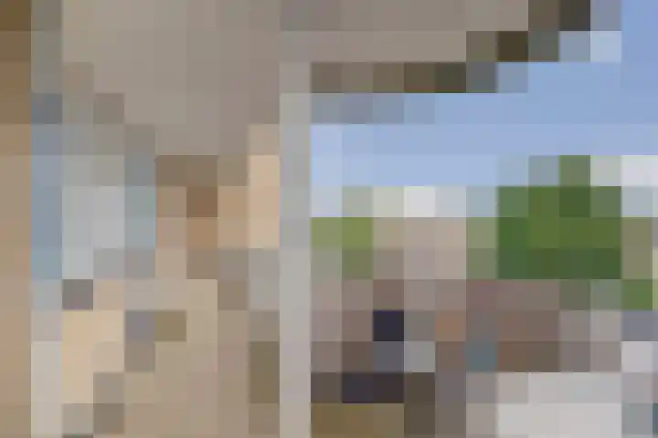 Pasteurstraat 31 Dieren thumbnail 25