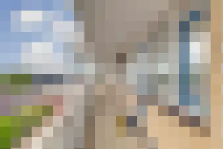 Pasteurstraat 31 Dieren thumbnail 26