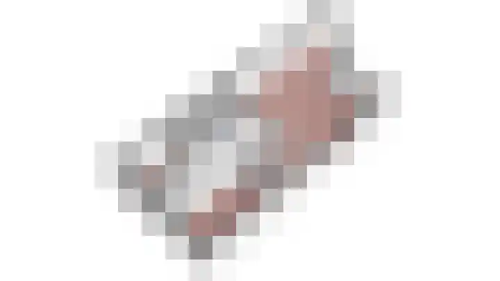 Pasteurstraat 31 Dieren thumbnail 31