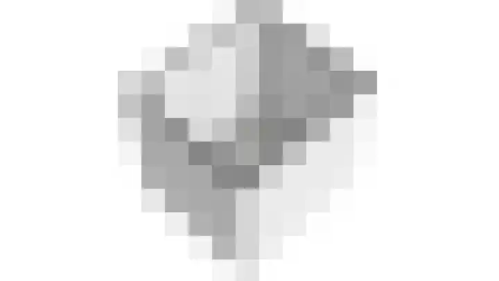 Pasteurstraat 31 Dieren thumbnail 33