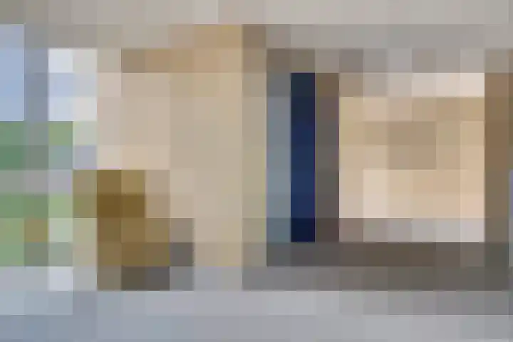 Pasteurstraat 31 Dieren thumbnail 4