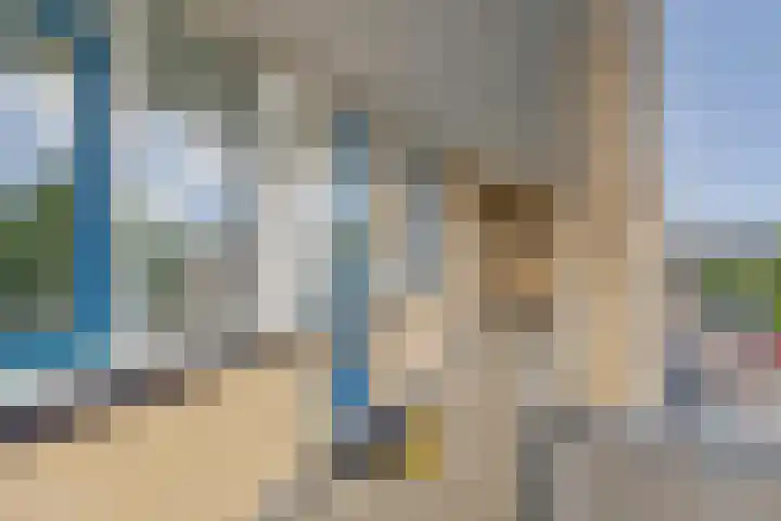 Pasteurstraat 31 Dieren thumbnail 6